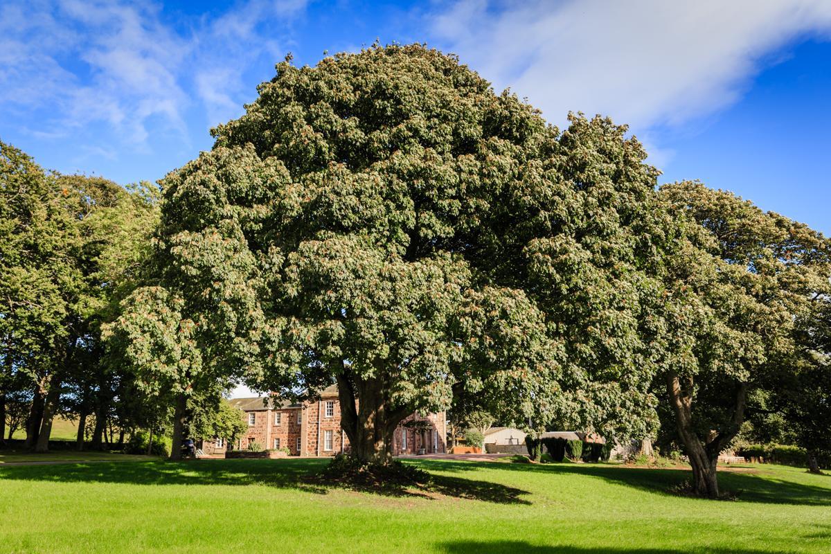 Lunan House Arbroath Ngoại thất bức ảnh